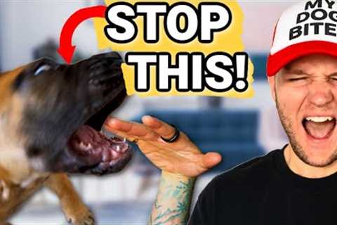 How To Stop Puppy Biting Guaranteed! STOP Puppy Biting In Seconds!