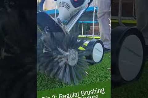 Master Your Artificial Turf: Essential Maintenance &amp; Care Tips