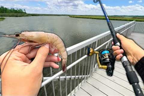 Eating Whatever I Catch.. Dock Fishing and Crabbing (Catch and Cook)