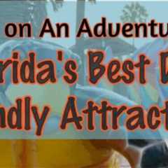 Florida’s Dog Friendly Beaches, Boat Tours, Train Rides and More!