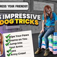 5 Fun and Unique Dog Tricks That Will Make You a Hero to Your Pet!