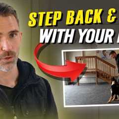 Easily Teach Your Dog The Backwards Slide in Heel Position!