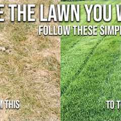 Spring Lawn Care Steps - How To Have THE BEST Looking Lawn In The Neighbourhood This Spring