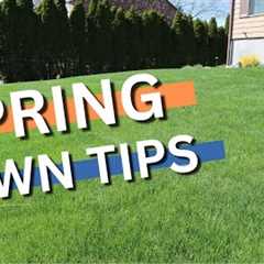 SPRING LAWN TIPS FOR PERECT SUMMER GRASS!! prepare for the that summer stress NOW!!