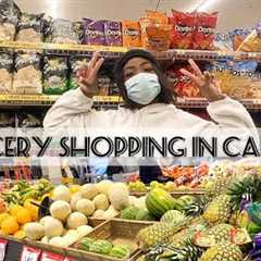 Come grocery shopping with me! GROCERY SHOPPING IN CANADA + HAUL| HOW MUCH IT COSTS.
