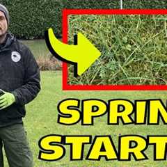 Start to Sort the MAIN PROBLEM in your LAWN this Spring