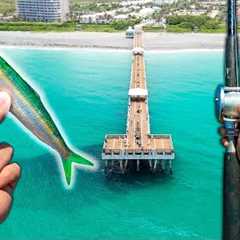 Pier Fishing: This Could Catch Anything!