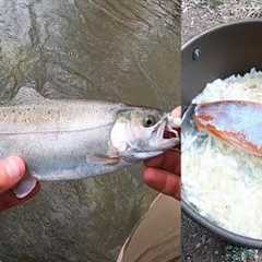 Rainbow Trout Fly Fishing Catch & Cook!