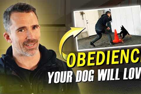 A Fun Way to Play &amp; Exercise Your Dog While Boosting Obedience!
