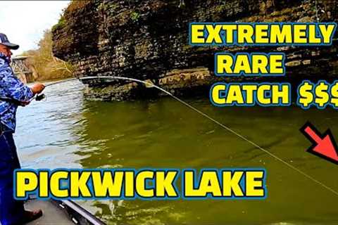 Extremely RARE FISH CATCHES fishing PICKWICK LAKE on the TENNESSEE RIVER !!