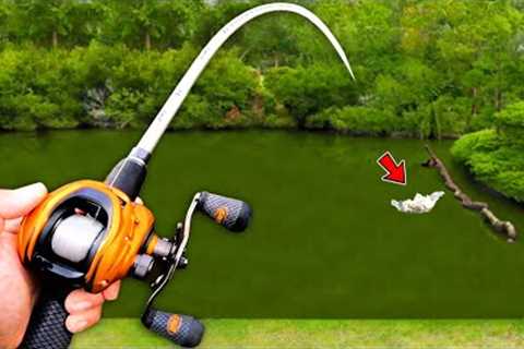Fishing for MONSTER Bass in SMALL Ponds! (Bed Fishing)