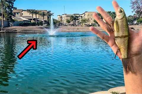 I Went Fishing in Phoenix Arizona's Urban Fisheries (Underrated?)