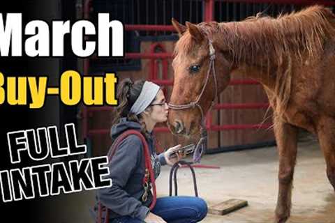 March Buyout Program | Full Intake