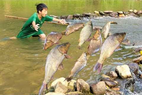Bac created a giant trap to catch big fish in the stream using rocks and plastic pipes | Bac skills.