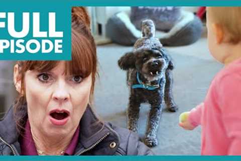 Poodle Turns Aggressive &amp; Attacks Baby😳  | Full Episode | It's Me or the Dog