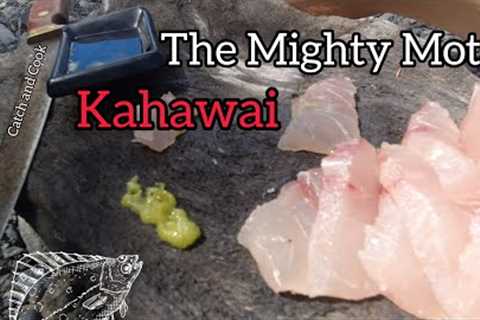 The Mighty Motu Kahawai Session [ Catch and Cook ]