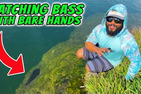 Catching Bass With Bare Hands!!!!!