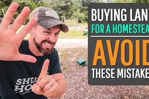 6 Mistakes to AVOID when Buying Raw Land {for a HOMESTEAD}