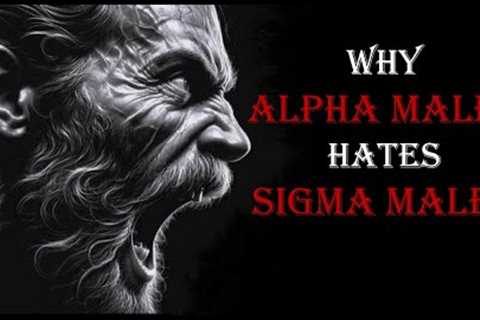 8 REASONS WHY ALPHA MALES HATES SIGMA MALES