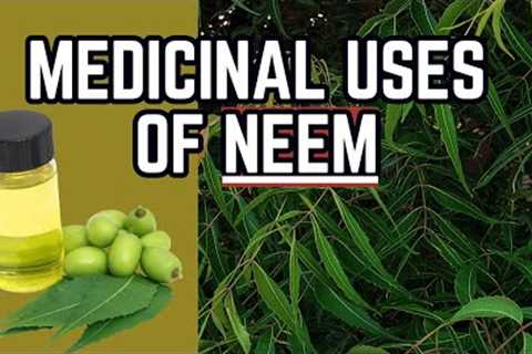 NEEM - Uses in TRADITIONAL MEDICINE / Earth's Medicine