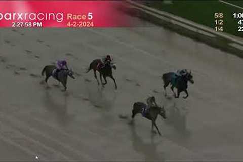 Horse Racing: Boca Royalty Wins Race 5 Parx Racing. Full Race Tues. April 2, 2024.
