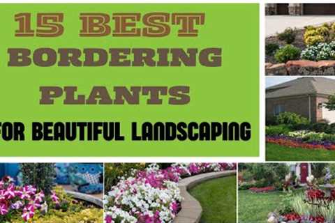 15 Landscape Bordering Plants | Best Perennials For Garden Bed Borders | Front Row Perennials