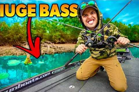I Discovered A NEW Lake With BIG BASS - Fishing Nasty Cover