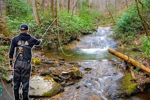 One of The PRETTIEST Places to Trout Fish!! || 3 Days of Fly Fishing North Carolina