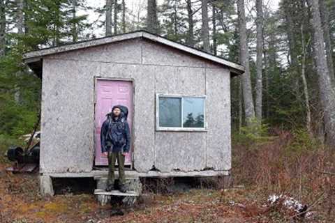 Overnight in an Abandoned Cabin / Roof Repairs and Ladder Build