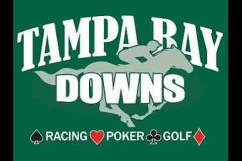 Tampa Bay Downs Live Stream