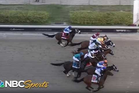 2024 Florida Derby (FULL RACE) | NBC Sports