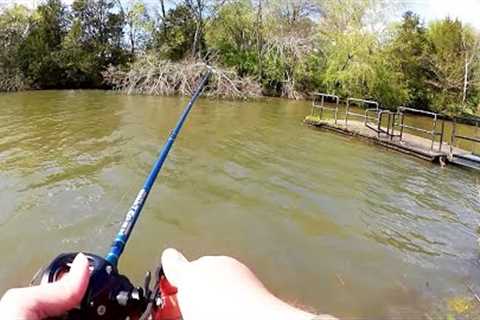 My First Bass on a Crankbait This Year! Spring Bass Fishing With Lures