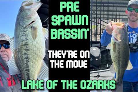 Early Spring Bass Fishing | Lake of the Ozarks
