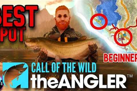 The BEST Starter SPOT For BEGINNERS, Finding TROPHY Fish | Call of the wild the angler