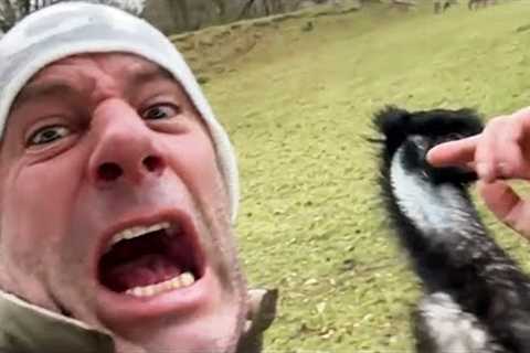 Funniest Fails Of The Week