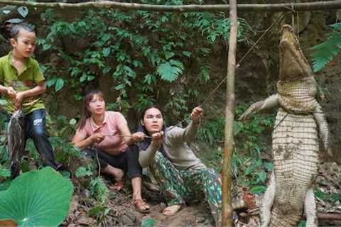 Crocodile caught in a trap, cooking pig bran, farm life, survival alone