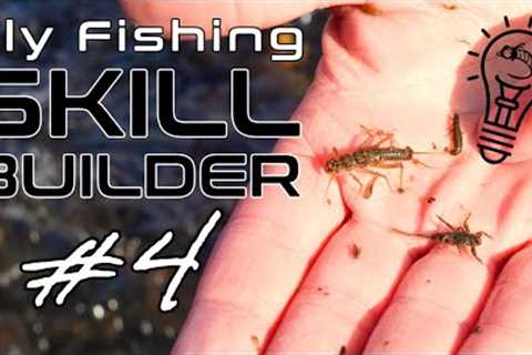 Fly Fishing Skill Builder #4 | 3 Simple Steps to Help You Choose What Flies to Use!