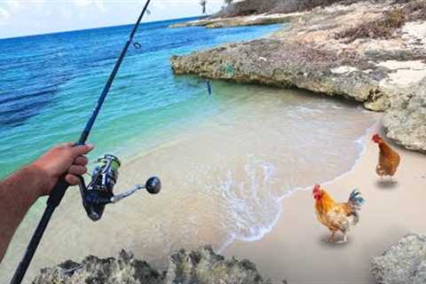 Shallow Water Reef Fishing &amp; Chicken Catching on an Island!