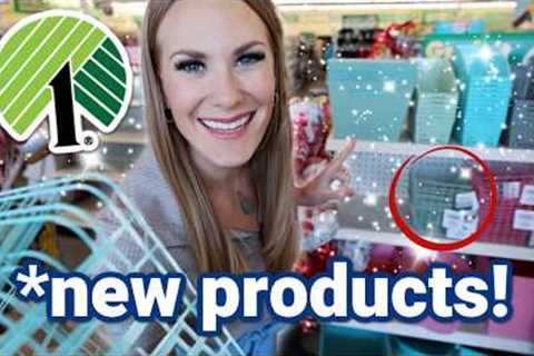 🔥 GET ORGANIZED FAST AT DOLLAR TREE! 🔥 2024 NEW PRODUCT LINES are fire!