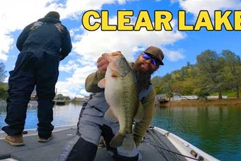 SUCCESS at The Big Pond | Clear Lake Bass Fishing