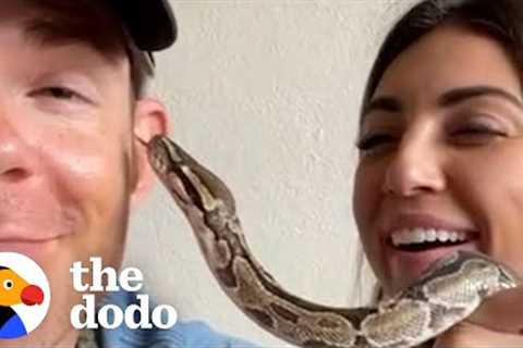 Python Abandoned By Her Owners Feels So Much Better After A Bubble Bath | The Dodo