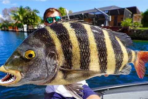 The BARNACLE Eating Fish… Big Sheepshead- Catch Clean Cook