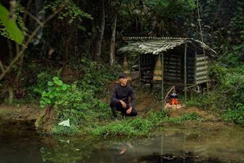 2 Days solo survival CAMPING. Bushcraft Survival Shelter by the Stream, Foraging For Food, Cooking