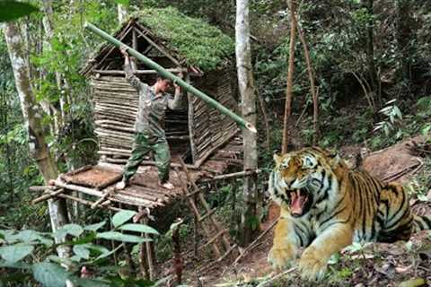 survival skills, tiger attack, 5 days of building a shelter in a tree, survival instincts