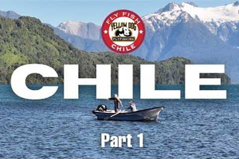 Fly Fishing Chile - Part 1: Yellow Dog Field Reports