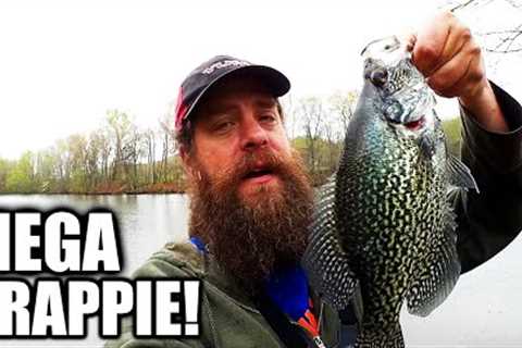 Can a Tiny Swimbait Catch BIG FISH? Best Crappie on Realistic Fishing!