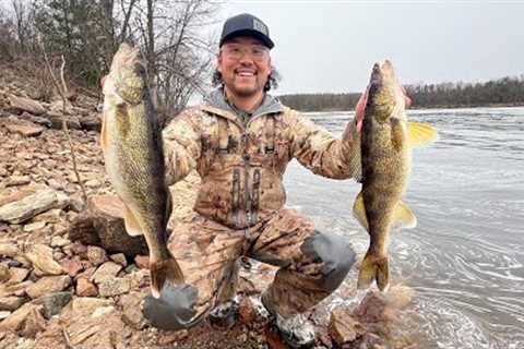 Public River Walleye Shore Fishing! (CATCH CLEAN COOK)