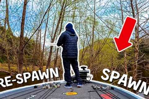 Finding A NEEDLE In A Haystack (New Lake BREAKDOWN)