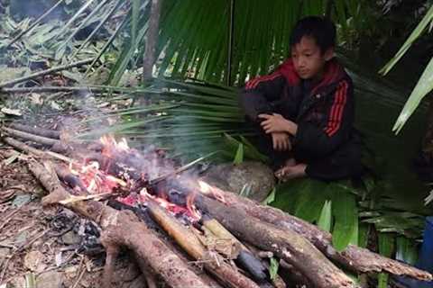 survival building a bamboo house to spend the night in the forest, the orphan boy Khai