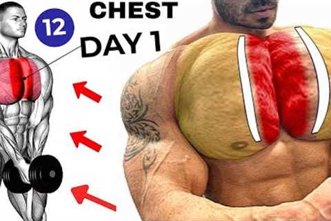 Top 12 Chest  Workouts  at gym  chest  workout